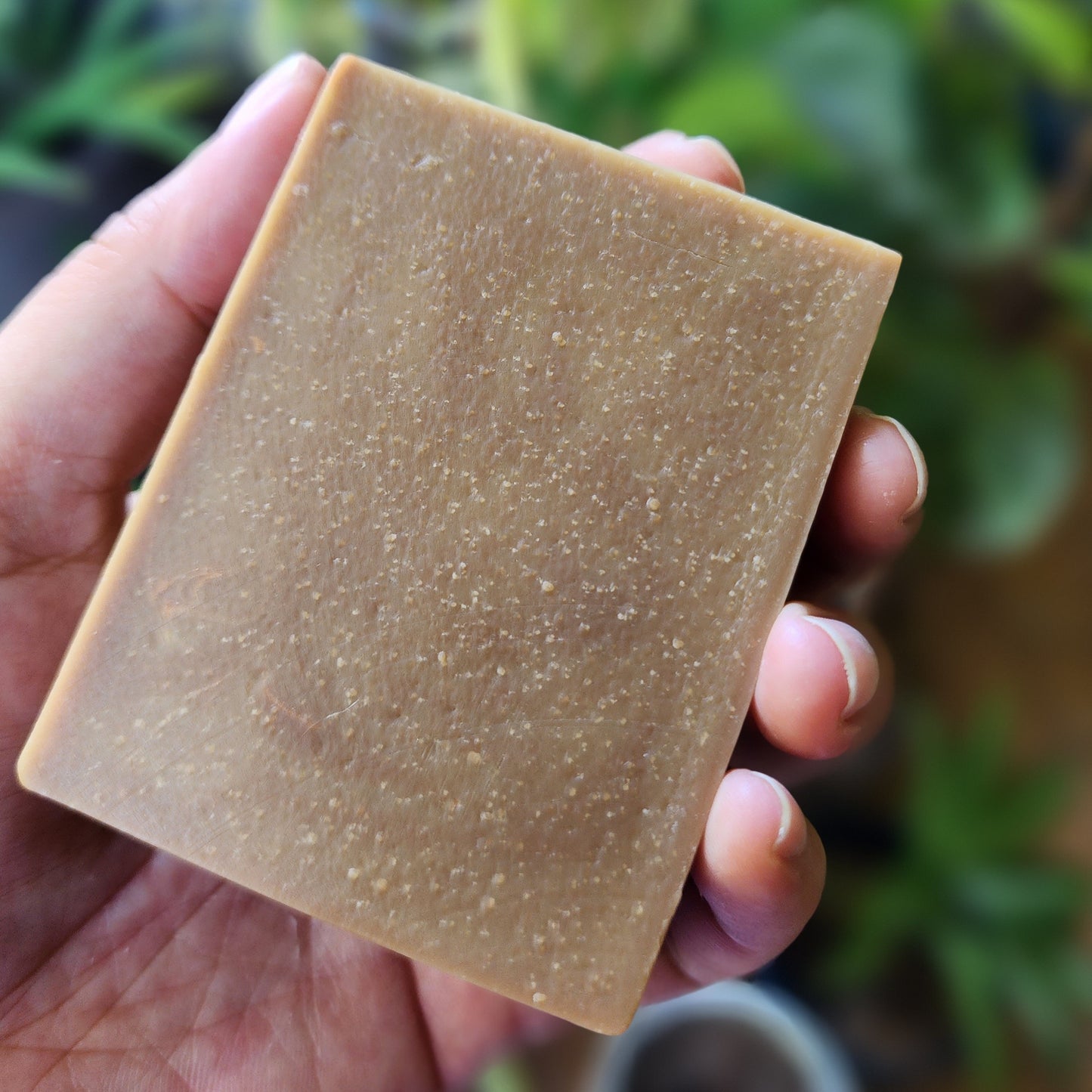 Cashmere & Champagne ~ Gentle Castile Soap - Sweetest Indulgence